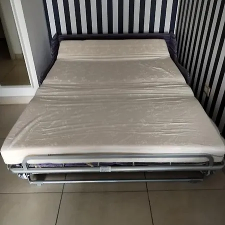 Riccio Blu Pochi Passi Dal Mare