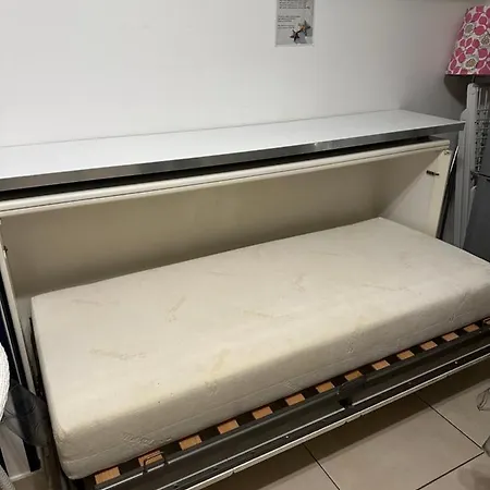 Riccio Blu Pochi Passi Dal Mare Alba Adriatica