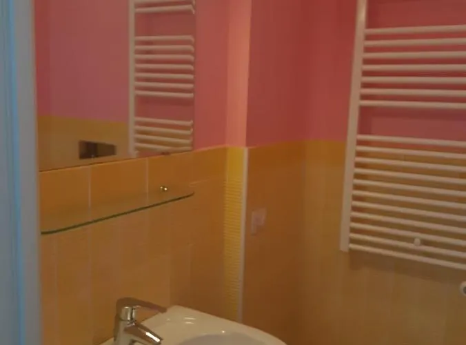 Riccio Blu Pochi Passi Dal Mare