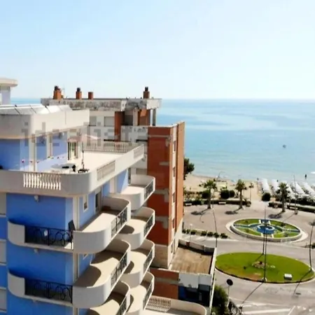Riccio Blu Pochi Passi Dal Mare
