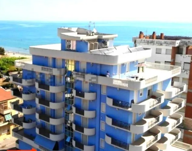 Riccio Blu Pochi Passi Dal Mare