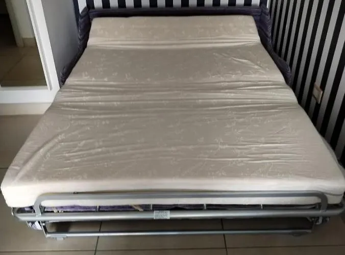 Riccio Blu Pochi Passi Dal Mare